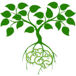 gallery/braintreesoftlogo150